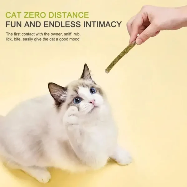 6pcs Natural Matatabi Cat Stick Mint Caught Bite Excited Rods Silvervine For Cat Teeth Cleaning Treating Pet Supply Cat Toys - Image 2