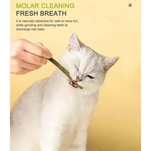 6pcs Natural Matatabi Cat Stick Mint Caught Bite Excited Rods Silvervine For Cat Teeth Cleaning Treating Pet Supply Cat Toys - Image 3