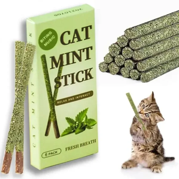 Set of 6 natural matatabi cat sticks with silvervine, chew toy for teeth cleaning and playful excitement.