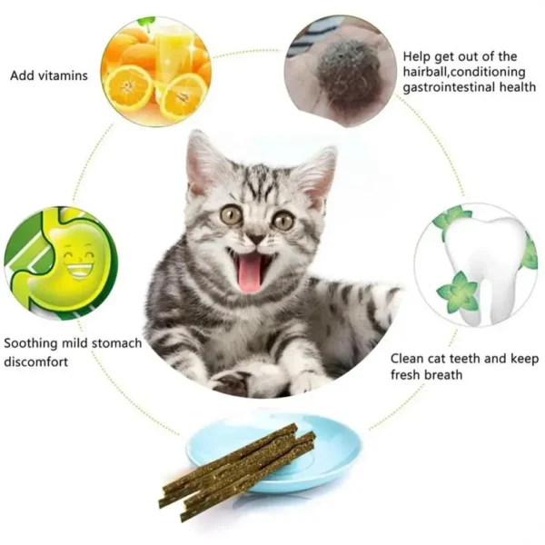 6pcs Natural Matatabi Cat Stick Mint Caught Bite Excited Rods Silvervine For Cat Teeth Cleaning Treating Pet Supply Cat Toys - Image 5
